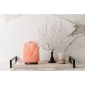 Hand Crafted Salt Lamps - Flower
