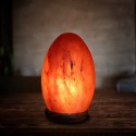 Hand Crafted Salt Lamps - Egg