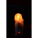 Himalayan Salt Lamp Night Light - Flower Shape