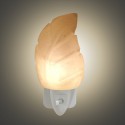 Himalayan Salt Lamp Night Light - Leaf Shape
