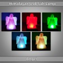 Himalayan Salt Lamps USB 
